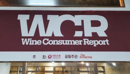 Photo VR in Customer Research