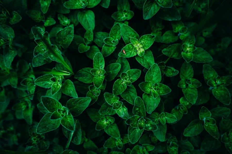 Photo Green Tech Careers