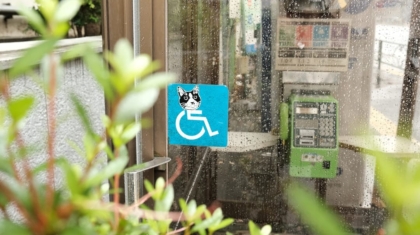 Photo EdTech Solutions, Accessibility Standards