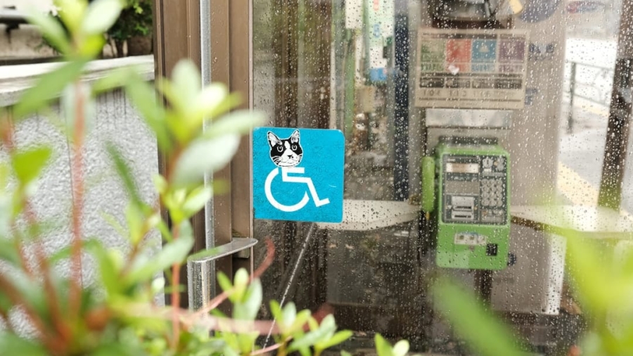 Photo EdTech Solutions, Accessibility Standards