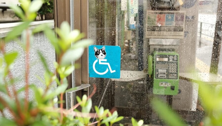 Photo EdTech Solutions, Accessibility Standards