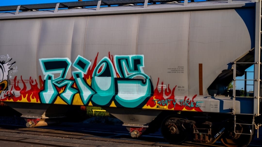 Photo VRs Role