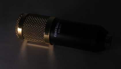 Photo AI-Powered Voice Interaction