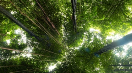 Photo Tech-Augmented Nature Experiences