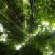 Photo Tech-Augmented Nature Experiences