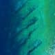 Photo Drone Mapping