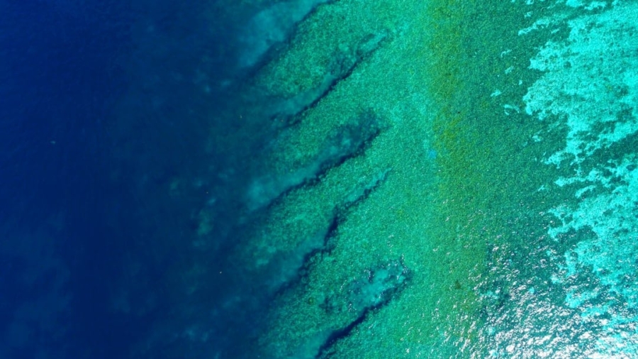 Photo Drone Mapping