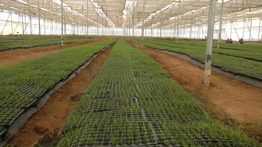 Smart Irrigation Systems