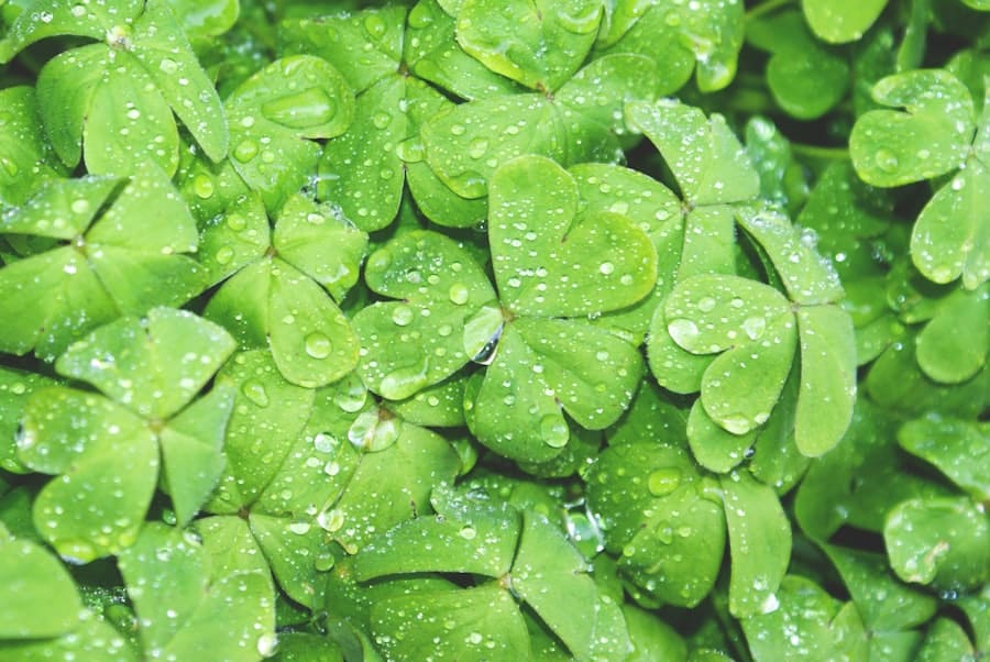 Green Hydrogen