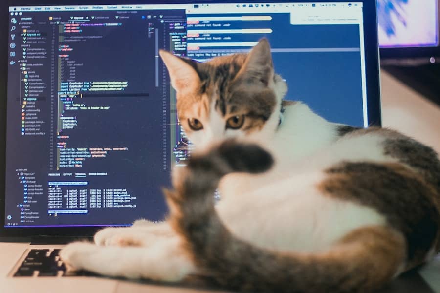 Testing and Debugging Code