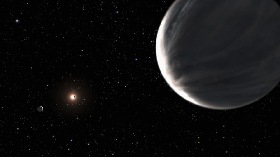 Habitable Exoplanets