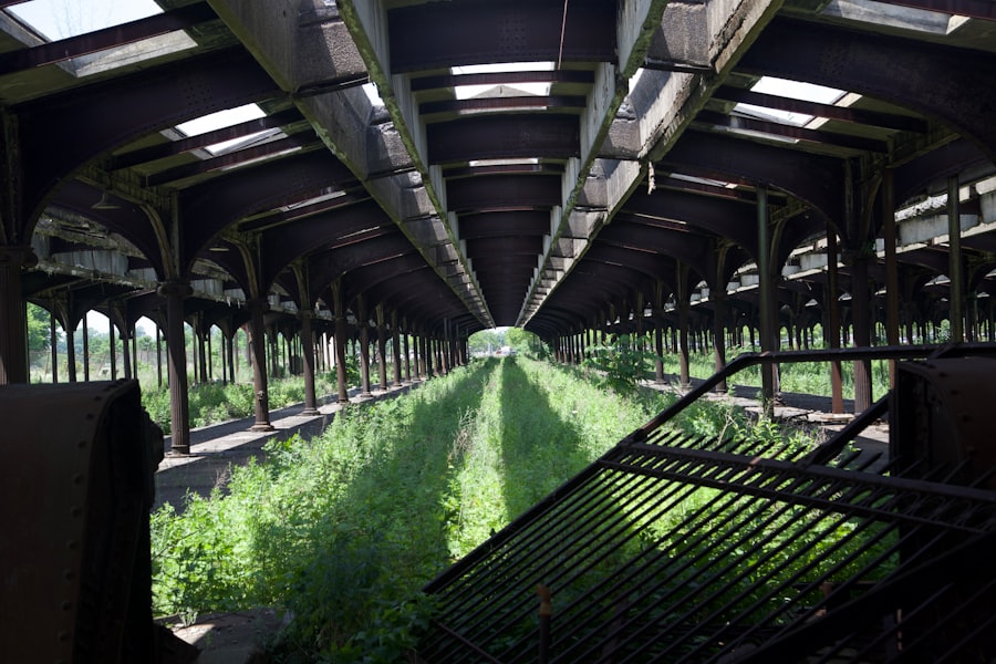 Vertical Farming
