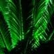 Photo Green Tech Launches