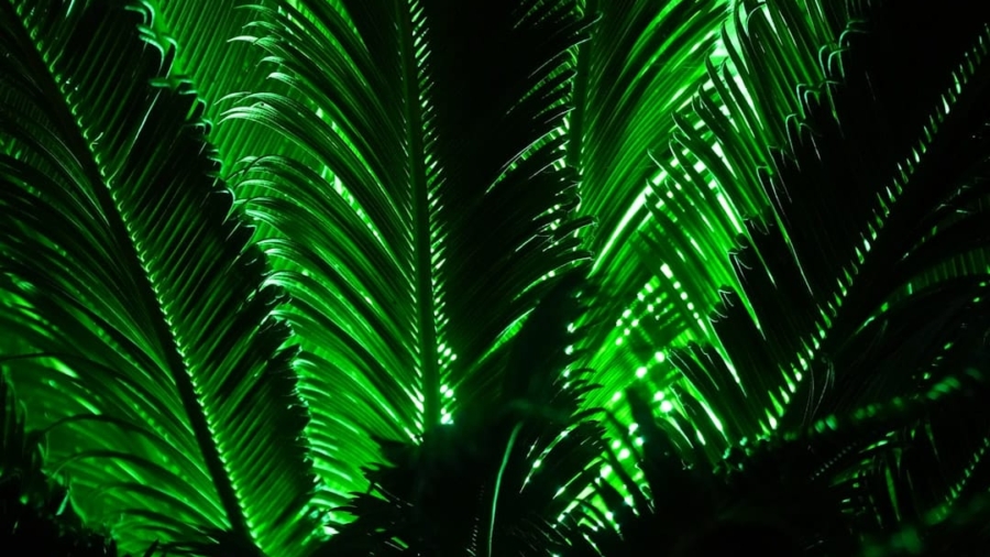 Photo Green Tech Launches