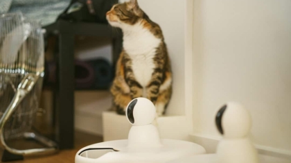Photo IoT Devices