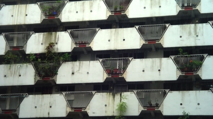 Photo Vertical Farming