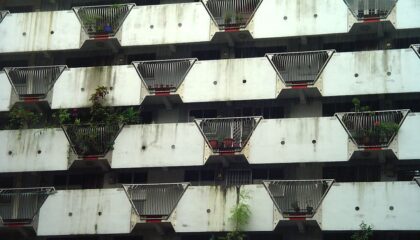 Photo Vertical Farming