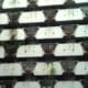 Photo Vertical Farming