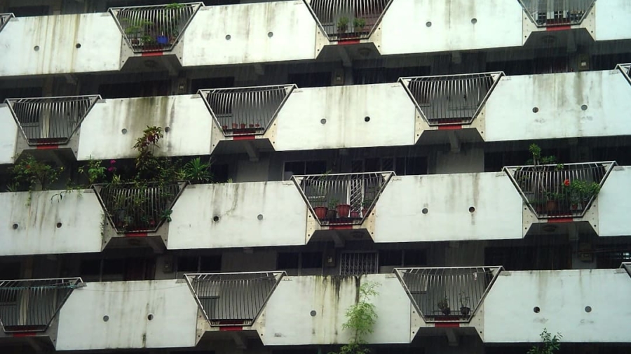 Photo Vertical Farming