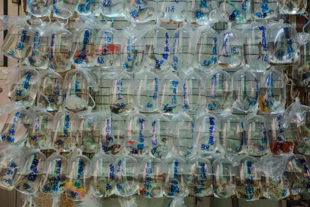 Photo Biodegradable Plastics