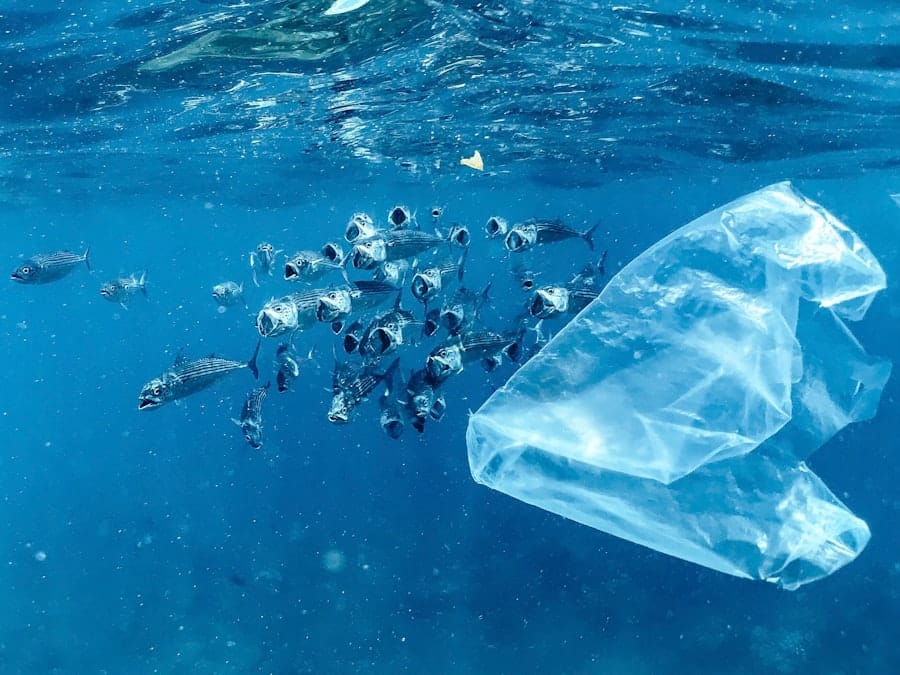 Photo Biodegradable Plastics