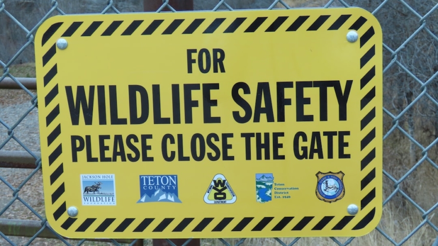 Photo AI Ethics and Safety