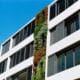 Photo Sustainable Tech Practices