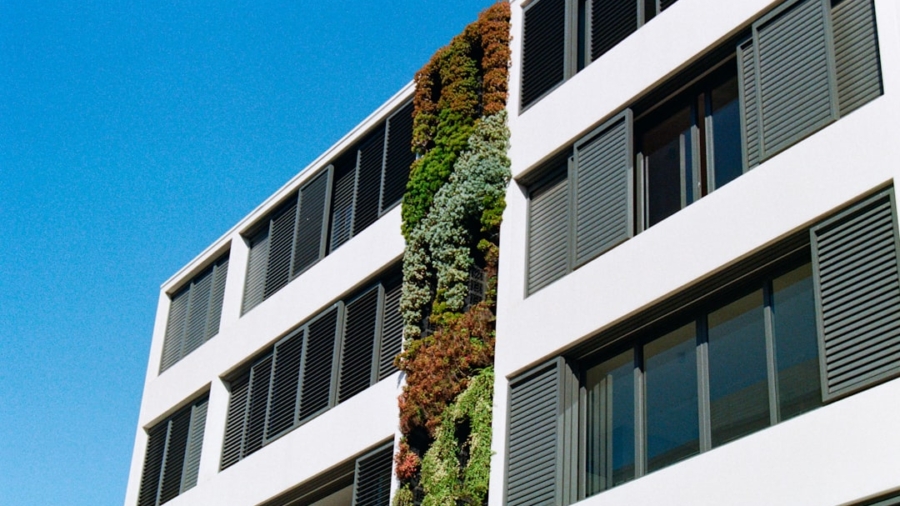 Photo Sustainable Tech Practices
