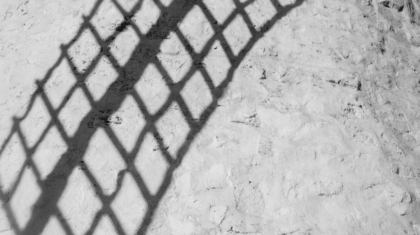 Photo AI Risk Models