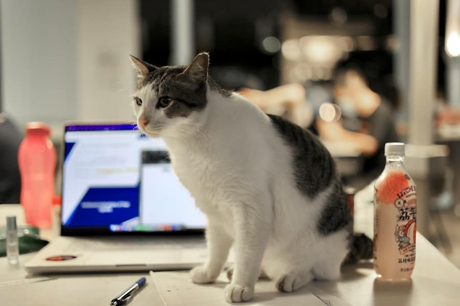 Photo IoT, Pet Care, Automated Solutions