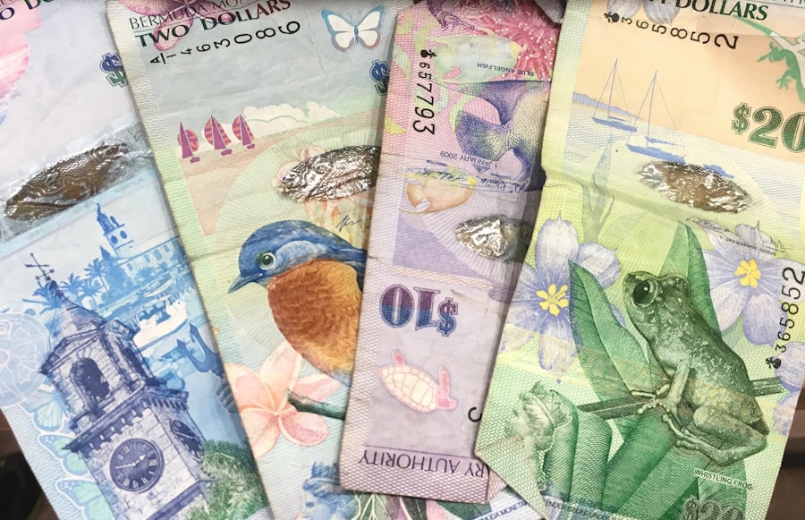 Photo Cross-Border Remittances