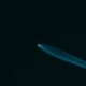 Photo SpaceX