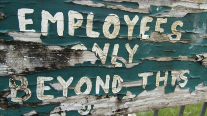 Photo Hybrid Job Roles