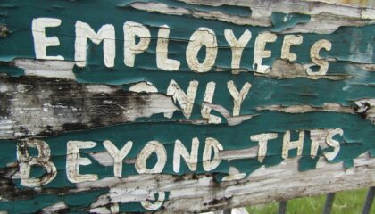 Photo Hybrid Job Roles