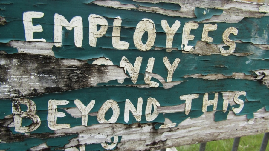 Photo Hybrid Job Roles