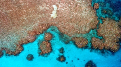 Photo Drone Photography