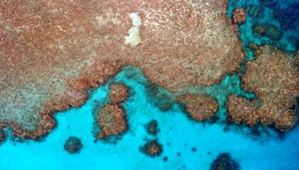 Photo Drone Photography