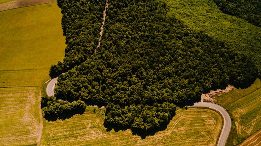 Photo Drone Photography