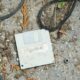 Photo Biodegradable Electronics