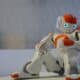 Photo Robo-Advisors
