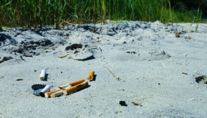 Photo AI Predicts Environmental Hazards