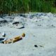 Photo AI Predicts Environmental Hazards