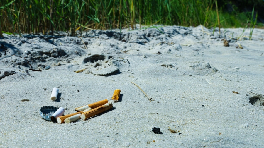 Photo AI Predicts Environmental Hazards