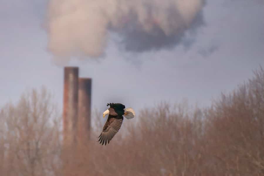 Photo AI Predicts Environmental Hazards