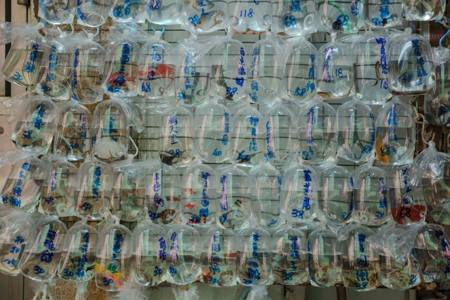 Photo Plastic Waste Reduction