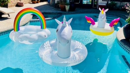 Photo Climate Tech Unicorns