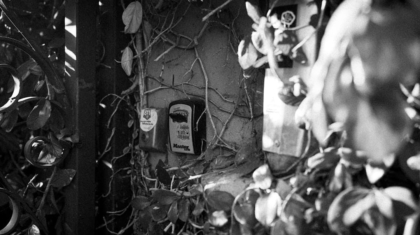 Photo Security Solutions