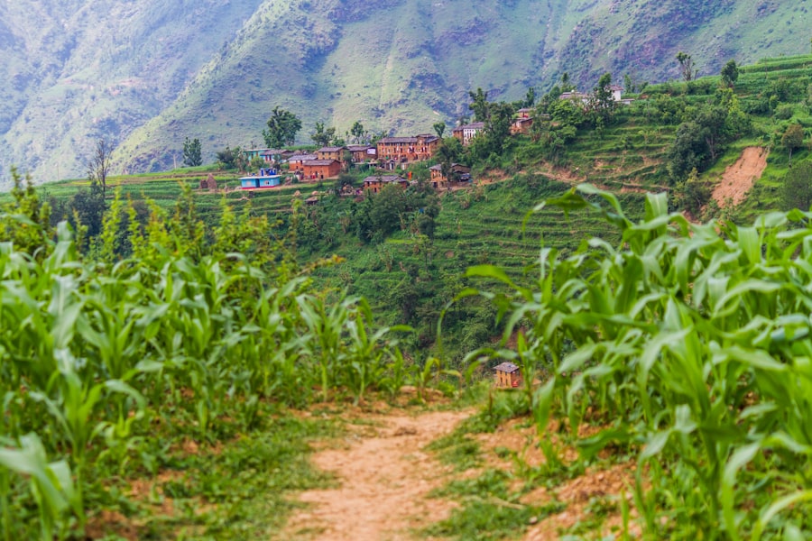 Sustainable Practices