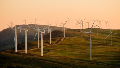 Photo renewable