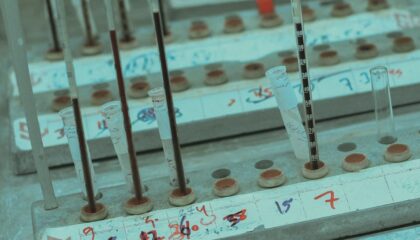 Photo Bioinformatics